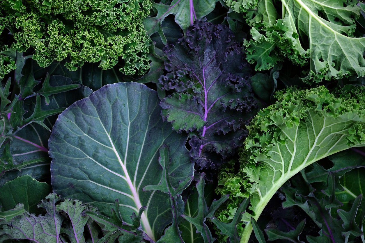 Why Is Kale Good for You? The Top Benefits of This True Superfood